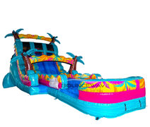Water Slide Rentals Water Slide Rentals