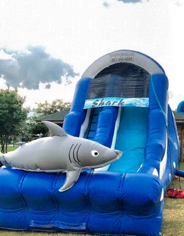 Shark Water Slide Shark Water Slide