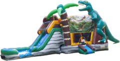 Dinosaur Inflatable Combo