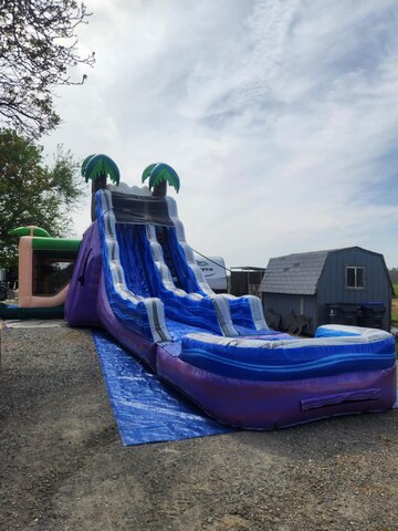 20' Tropical Paradise Slide 20' Tropical Paradise Slide
