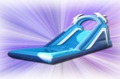Dolphin Waterslide Dolphin Waterslide