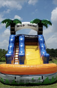 Wild Thing Waterslide  W/LED Lights