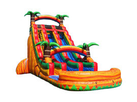 20' Dual Lane Tropical Paradise Waterslide with Large Pool