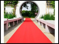 Red Carpet Runner - 3x25