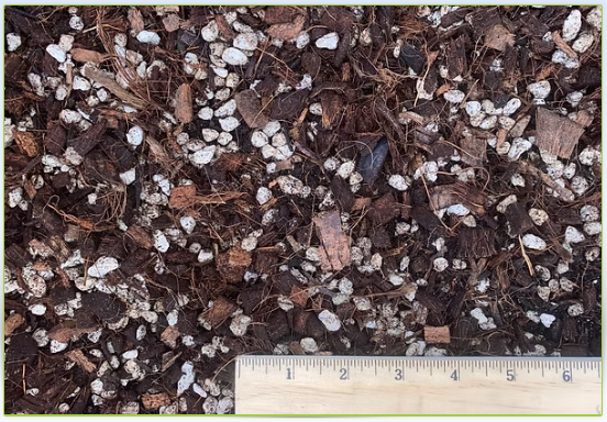 Tank's Organic Cactus and Succulent Mix - Bulk Tank's Organic Cactus and Succulent Mix - Bulk