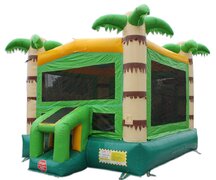Bounce House and Waterslides Bounce House and Waterslides