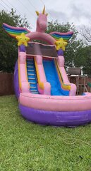 18ft Unicorn