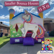 Smaller Bounce House 13 x13