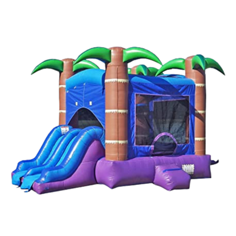 Enchanted Bounce House Combo Enchanted Bounce House Combo