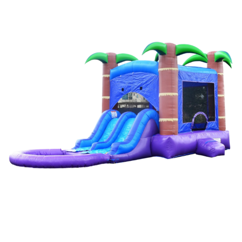 Enchanted Forest and Dual Slide Combo with Pool Enchanted Forest and Dual Slide Combo with Pool