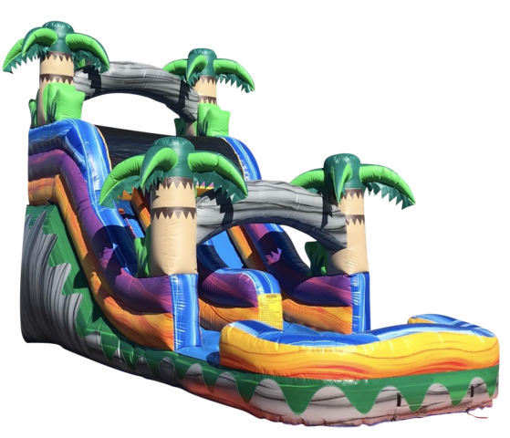 Palm Tree Slide