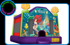 Little Mermaid Little Mermaid