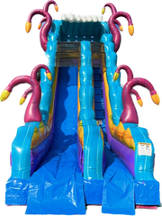21’ Mystico Dry Slide