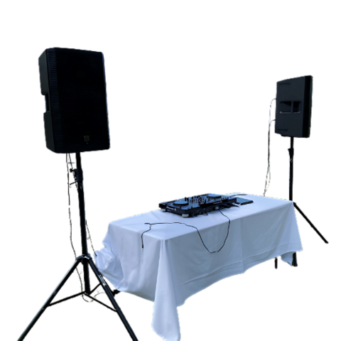 Professional DJ Services Professional DJ Services
