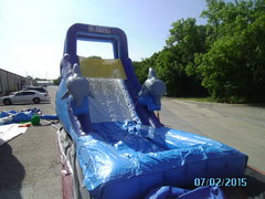 Dolphin Slide Dolphin Slide