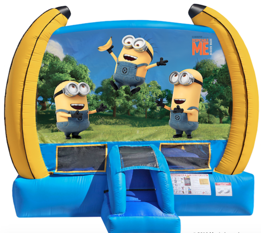 Minions Despicable me 15x15 with basketball hoop