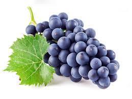 Additional Grape Sno Kone Flavoring Additional Grape Sno Kone Flavoring