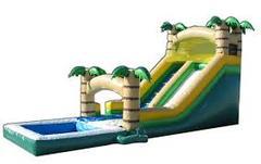 Safari Wet Slide with pool Safari Wet Slide with pool