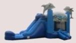 Wet-Dry Dolphin Wet-Dry Dolphin