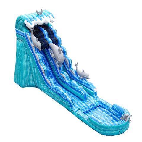 20 Ft Dolphin Front Entry Water Slide with Pool   