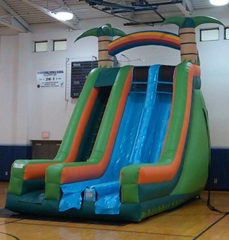 22' Tropical Dual Lane Dry Slide 22' Tropical Dual Lane Dry Slide