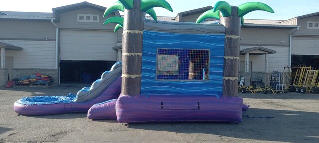 13 X 28 Palm Tree Water Combo Wet / Dry 13 X 28 Palm Tree Water Combo Wet / Dry