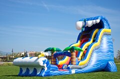 24' Shark Sighted Dual Lane Water Slide with Pool