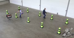 Tag The Light Crazy Cones / Interactive High Energy Game