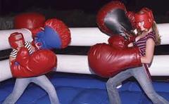 15 X 15 X 8 - Bounce Boxing Ring with Gloves