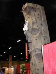 Rock Wall - Each Additional Hour