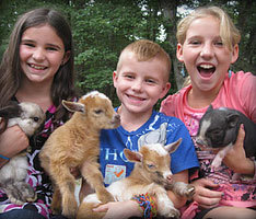 Farm Friends Petting Zoo - at your location Farm Friends Petting Zoo - at your location