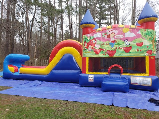 Strawberry Shortcake Castle Single Slide Dry Combo Strawberry Shortcake Castle Single Slide Dry Combo