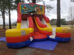 Lion King Double Wet Slide