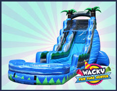 Water Slides & Water Bounce Combos Water Slides & Water Bounce Combos