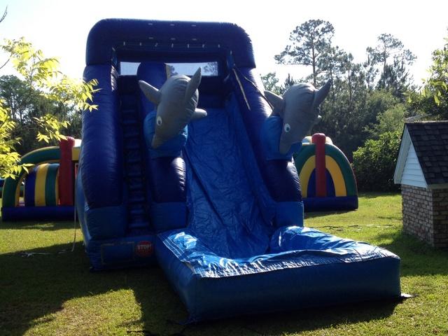 17' Dolphin Waterslide 17' Dolphin Waterslide
