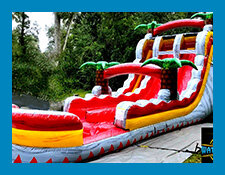 Wet and Dry Slides Wet and Dry Slides