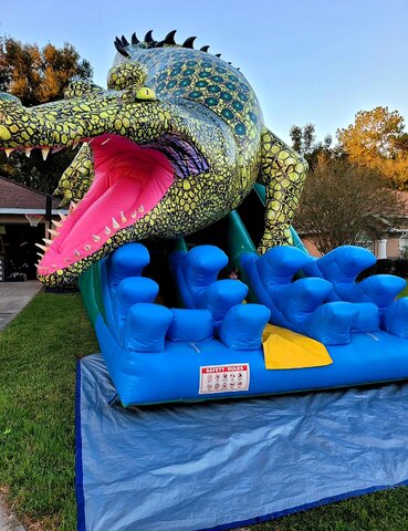 Big Gator Slide Big Gator Slide