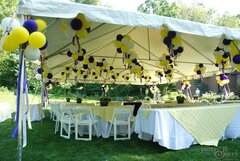 Graduation Party: Congrats Grad! Graduation Party: Congrats Grad!