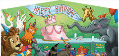 Happy Birthday Bouncy Castle 