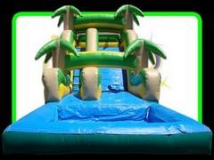 Palm Tree Water Slide