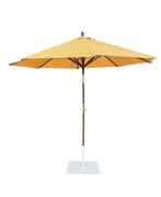 Umbrella Umbrella