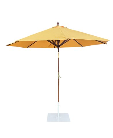 Sun Gold 9 Sun Gold 9