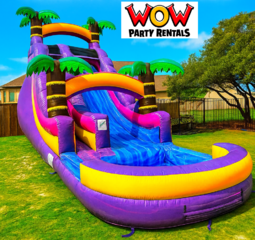 20Ft Purple Blast waterslides