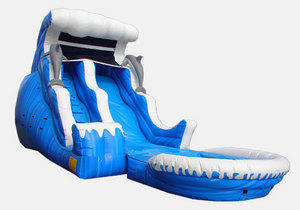 Wet Dolphin Slide