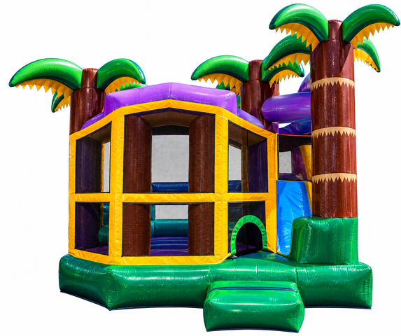 (New) Backyard Mardi Gras Combo (New) Backyard Mardi Gras Combo