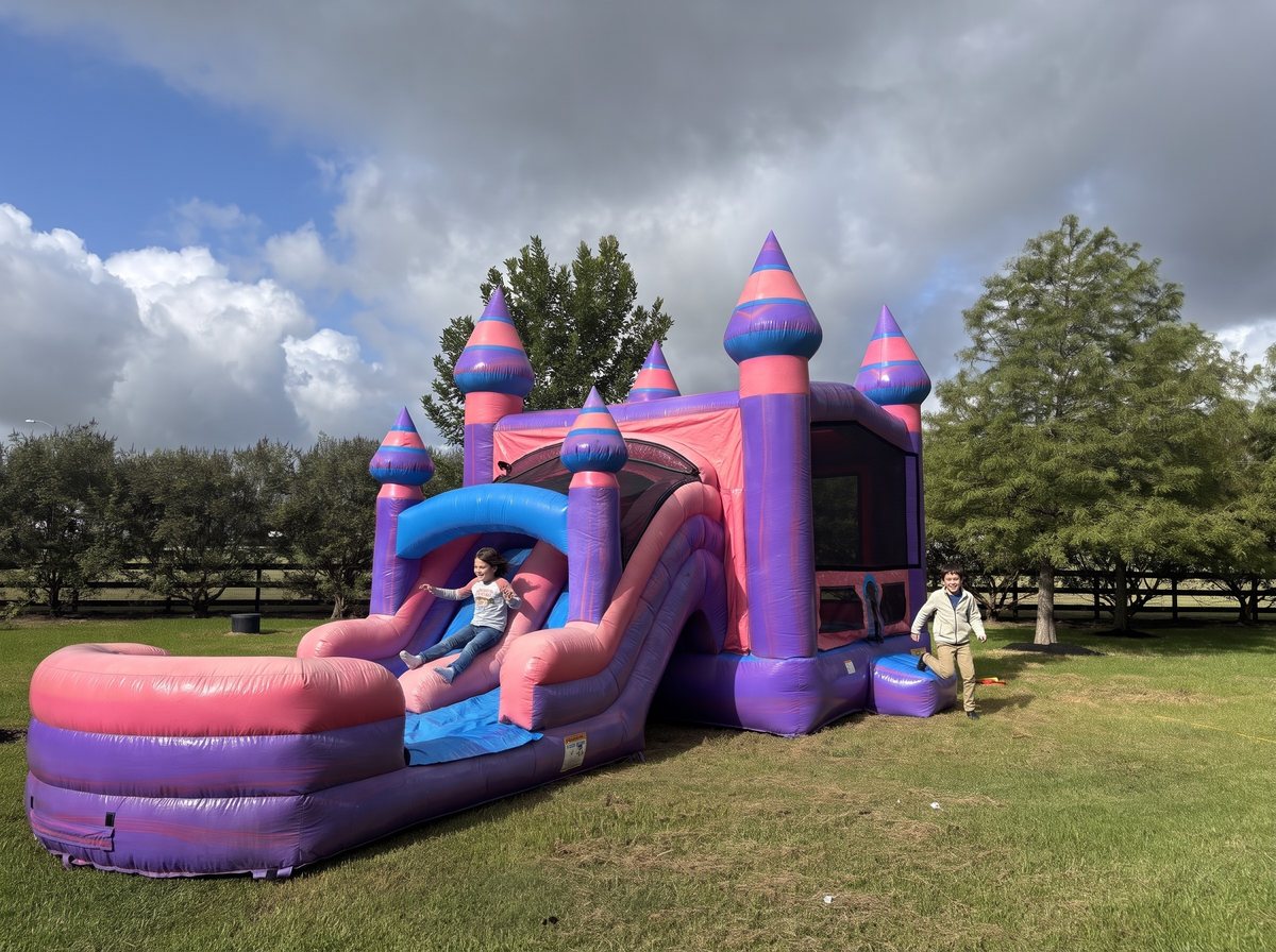 Kids on a Princess Palace combo with slide in a Richmond backyard