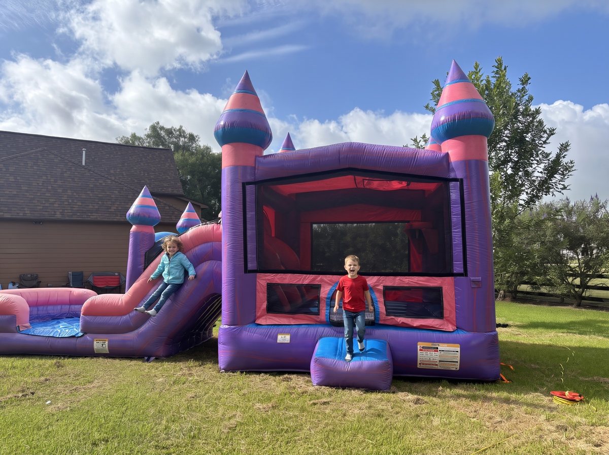Princess Palace bounce house with slide set up on grass in Richmond