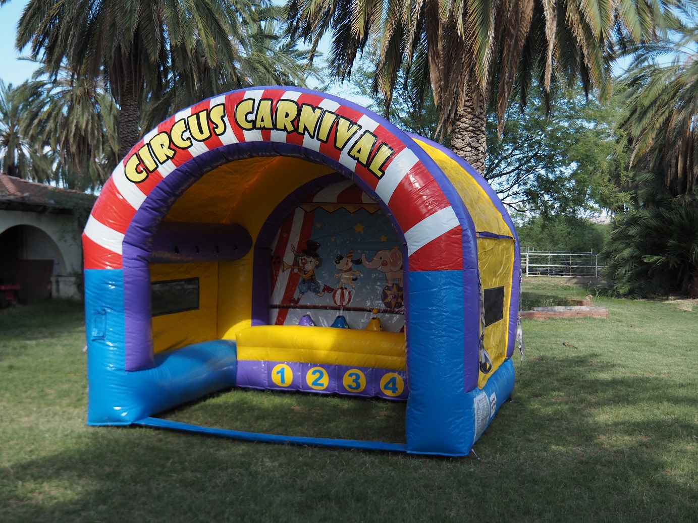 Carnival Air Ball Game