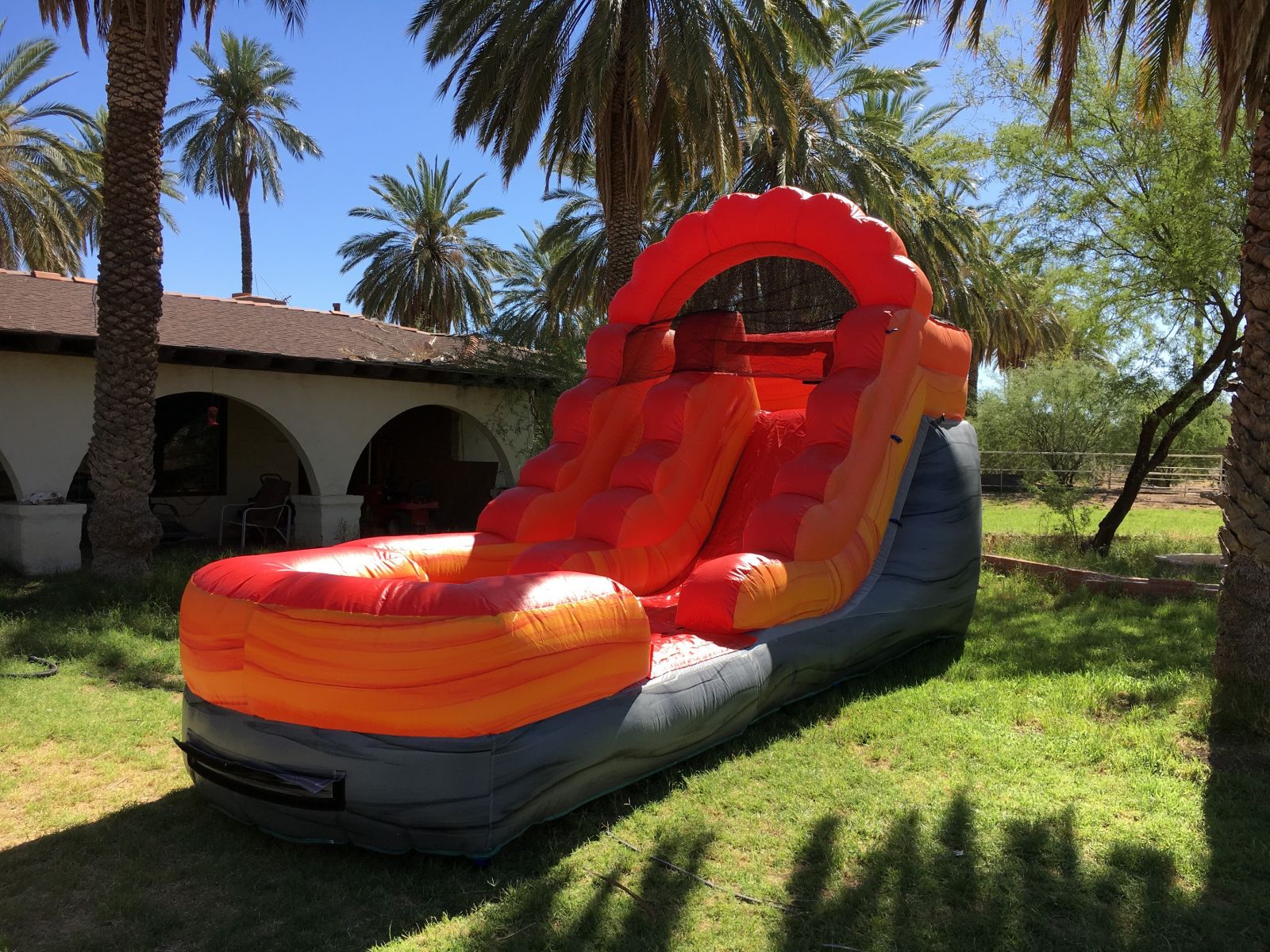 Slide down the Palm Tree Plunge into a splash pool