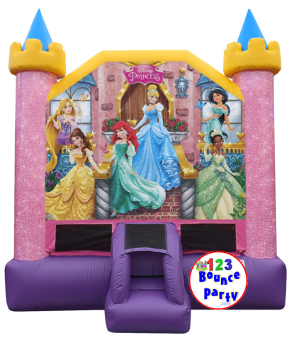 DISNEY PRINCESS'S Castle